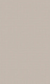 Solid light gray color swatch