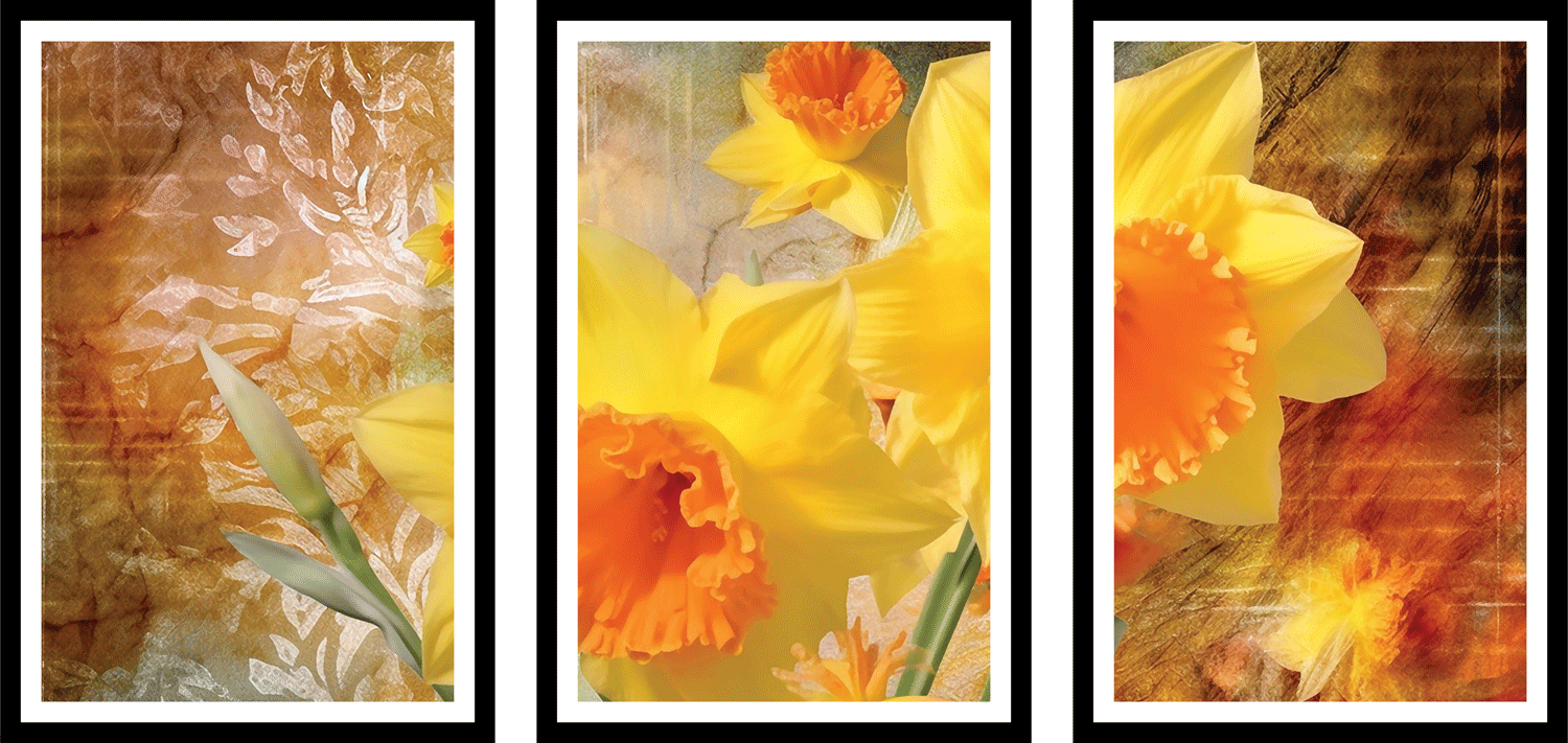 3 piece canvas wall art living room painting artwork home decoration