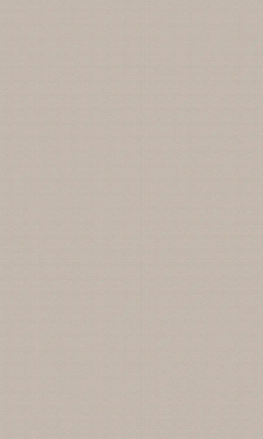 Solid light gray color swatch