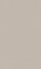 Solid light gray color swatch