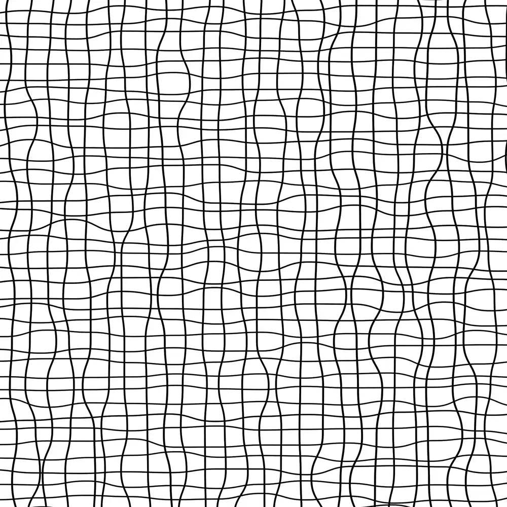 Black grid pattern on a white background