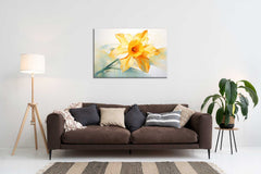 A canvas print of a yellow flower displayed above a brown sofa in a room with a white wall, a lamp, and a plant.