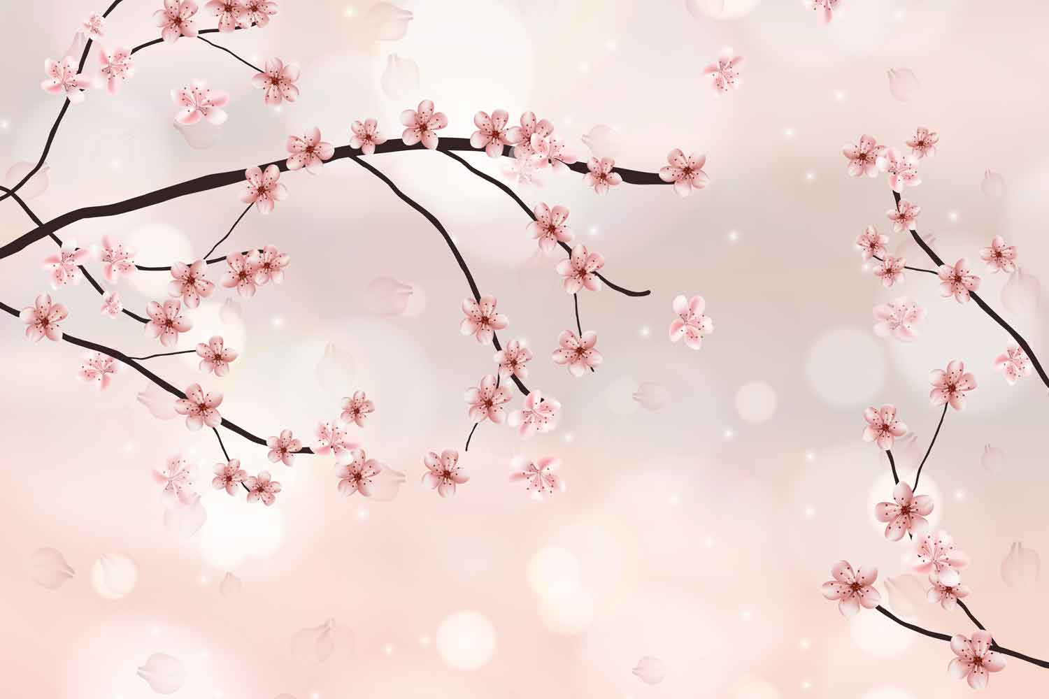 Romantic floral wallpaper featuring cherry blossom branches in soft blush tones
