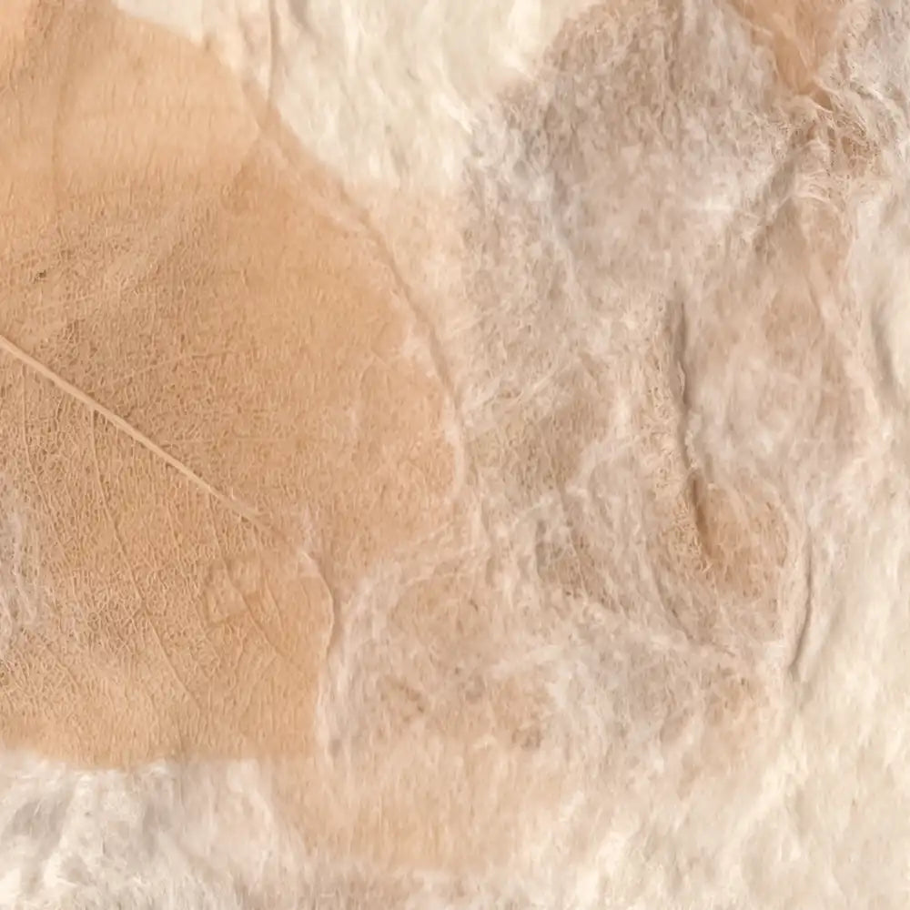 Close-up of a textured beige surface with a leaf