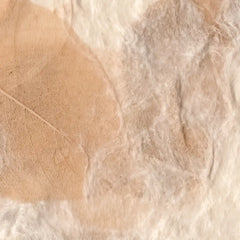 Close-up of a textured beige surface with a leaf